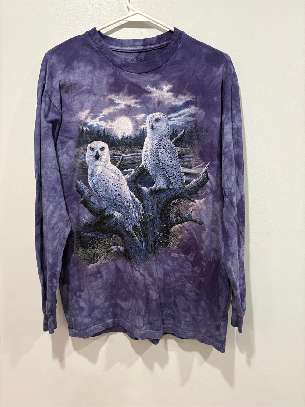 Purple Owl Graphic Long-Sleeve Tee - Men ptp 19
